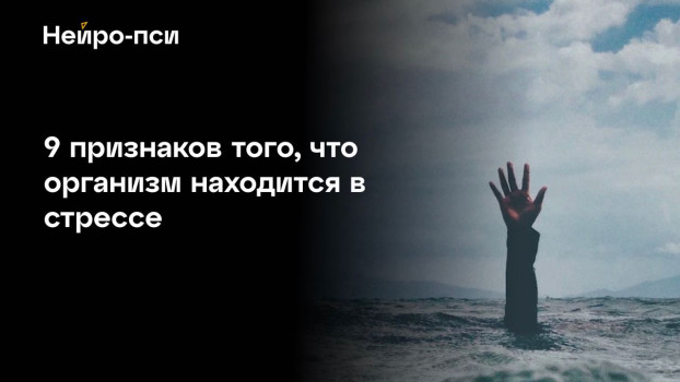 Как понять, что организм в высоком — блог клиники Нейро-Пси